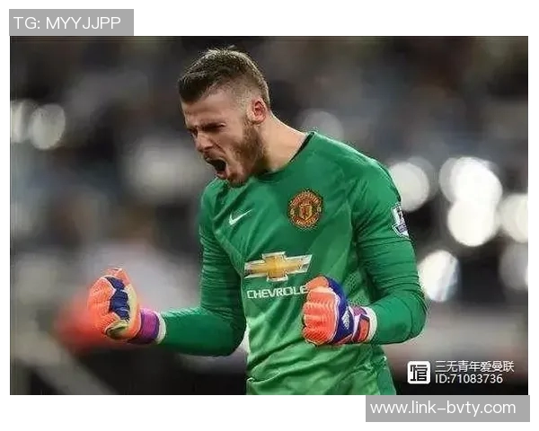 瑞典16岁前锋凯文菲林未在曼联引援名单之中